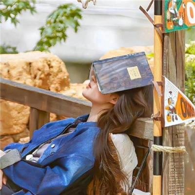 阿加莎与午夜谋杀案