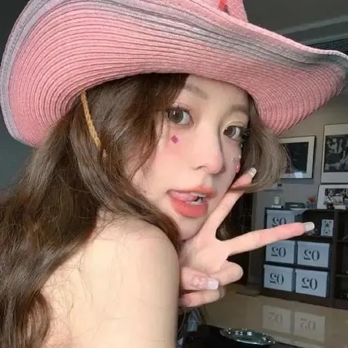 对一个不容怀疑的公民的调查